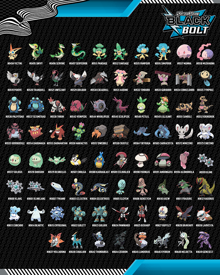 Pokémon TCG: Scarlet & Violet—Black Bolt Binder Collection